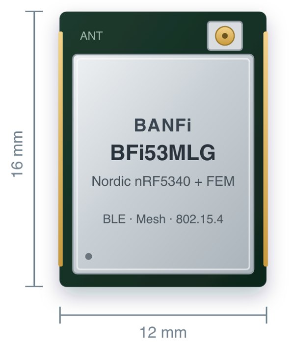 BANFi BFi53MLG 藍牙模組，12 × 16 mm（示意圖）